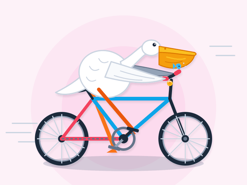 Flat vector illustration of a white pelican riding a bicycle to the right against a pink background with a lighter pink circle behind it. The pelican grips the handlebars with its wings and one orange foot rests on the pedal, and a small blue fish is visible tucked in the corner of its large orange beak pouch. The bike has a red, blue and orange frame with dark tires, and grey speed lines trail behind to suggest motion.