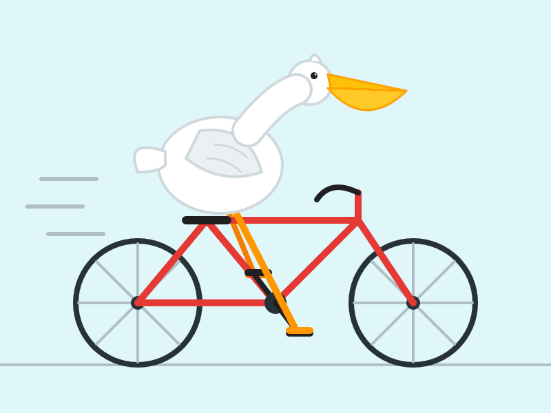 Flat-style cartoon illustration of a white pelican with a large orange beak riding a red bicycle across a pale blue background, its long orange legs stretched down to the pedals, with gray horizontal motion lines behind it suggesting speed.
