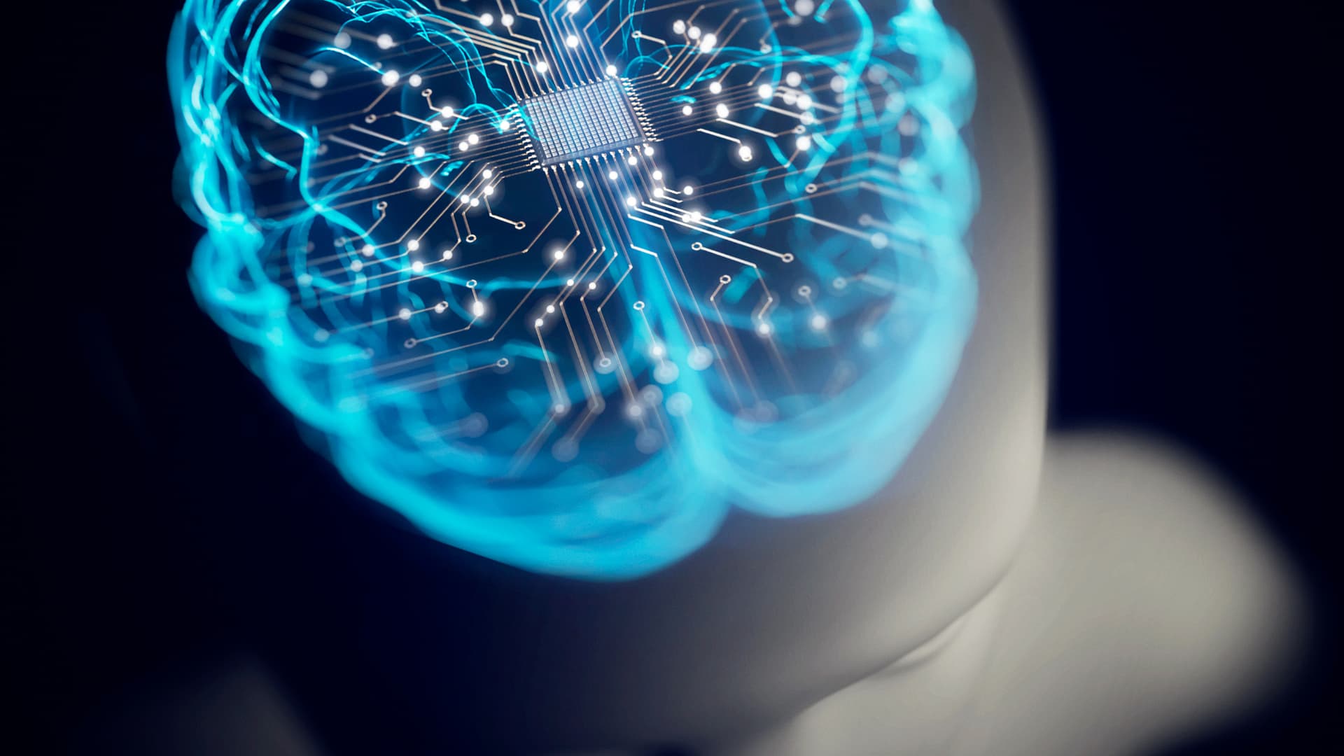 Brain circuit