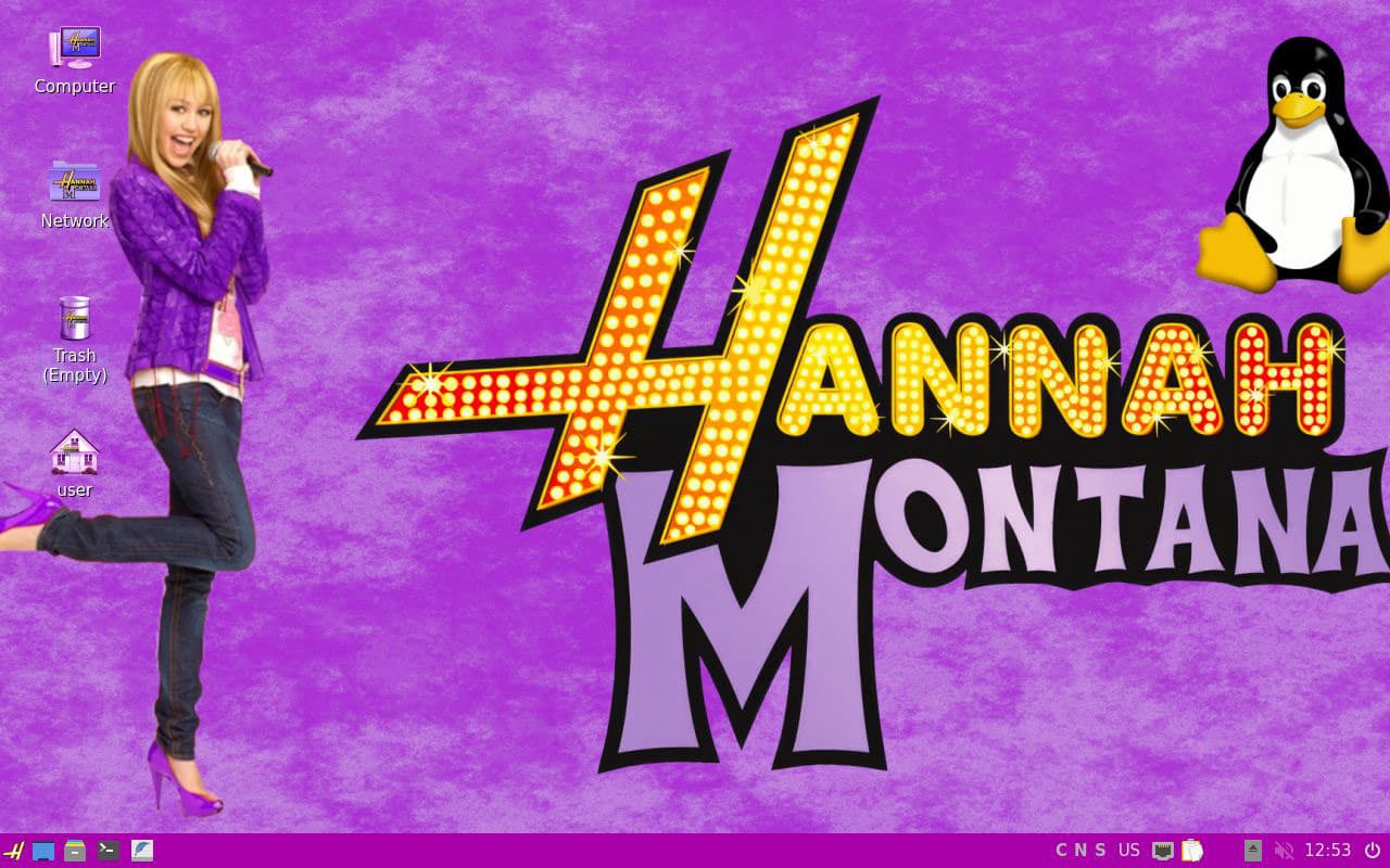 Hannah Montana Linux v26.0 Lite