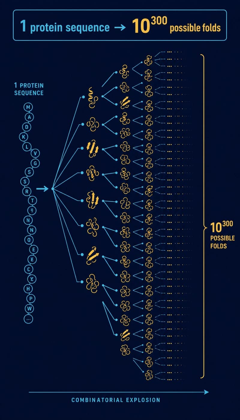 Protein folding complexity diagram