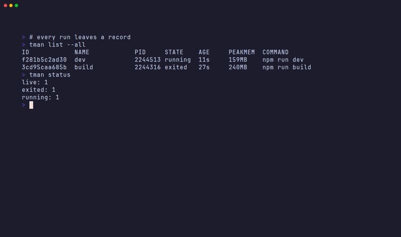 tman list --all showing the dev server still running and the build exited, with peak memory