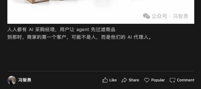 Agent Commerce 微信版文末未保留参考链接