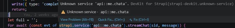 An invalid Strapi reference underlined, with a