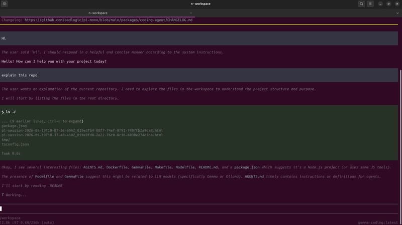 Pi running with a local model