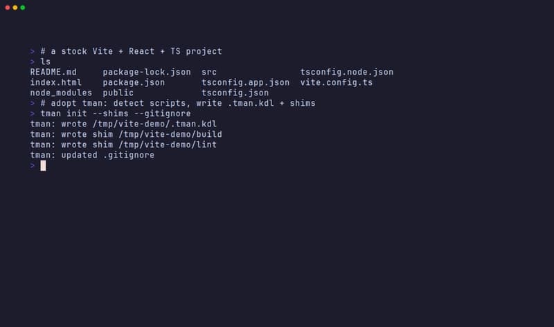 tman init detecting the Vite scripts and writing .tman.kdl plus build and lint shims
