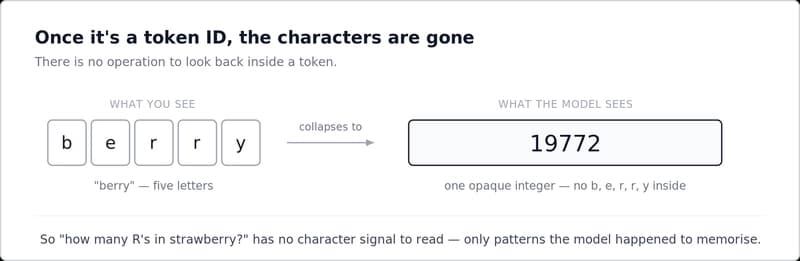 Once it's a token ID the characters are gone: