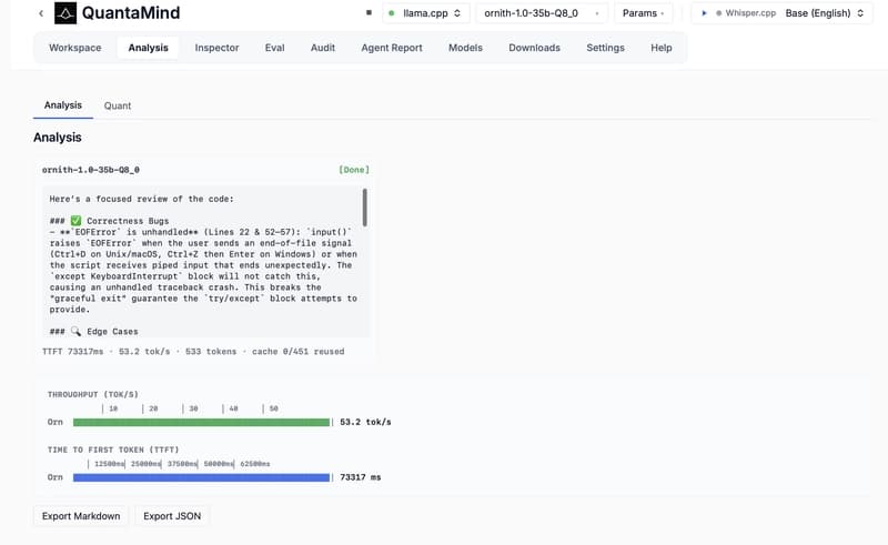 Single-shot code review output from ornith-1.0-35b-Q8_0, showing correctness bugs and edge case analysis, with TTFT and throughput metrics