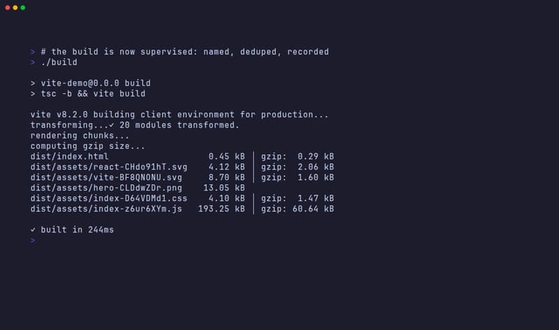 Running ./build: identical vite build output, now with a name, a lock, and a record
