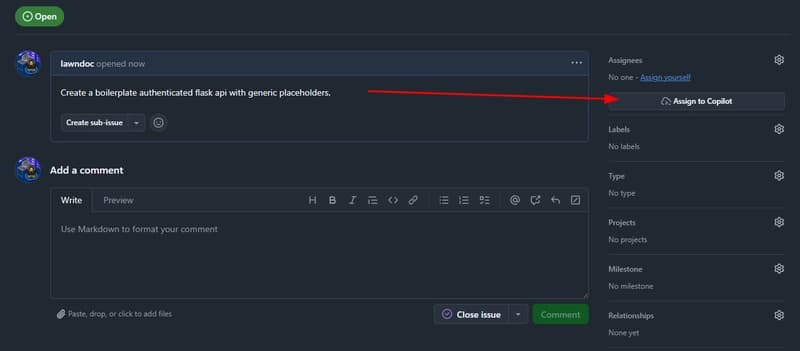 Creating an issue for Copilot