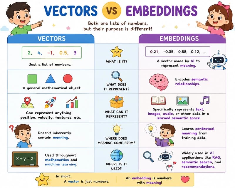 Vector Vs Embedding