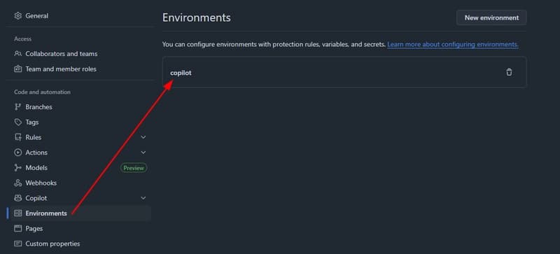 Copilot environment settings