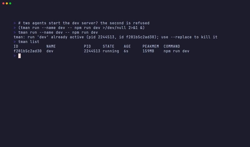 The second dev server is refused: run 'dev' already active, use --replace to kill it