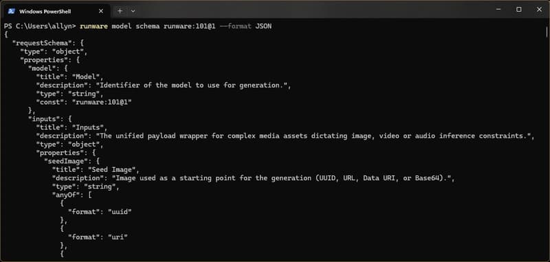 Model schema in JSON format