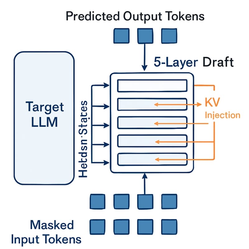 DFlash speculative decoding architecture diagram showing KV injection from target LLM into every draft model layer