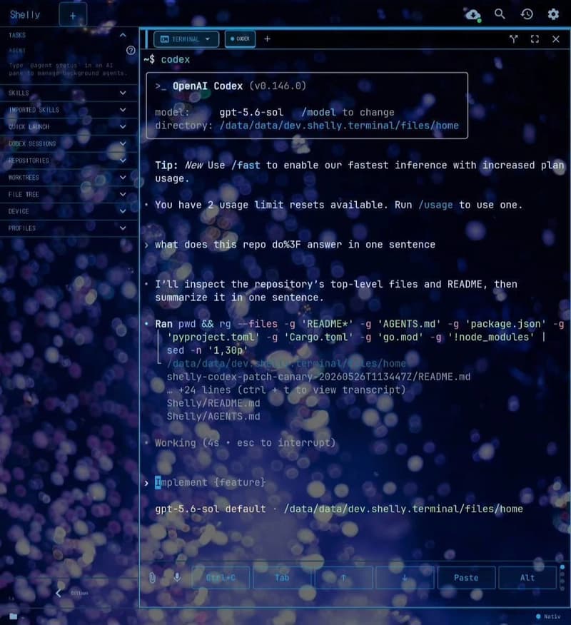 OpenAI Codex CLI running natively in the Shelly terminal on Android