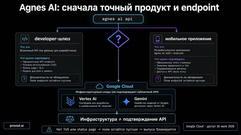 Развилка бренда Agnes AI на developer-шлюз и мобильное приложение, с отдельным инфраструктурным кейсом Google Cloud