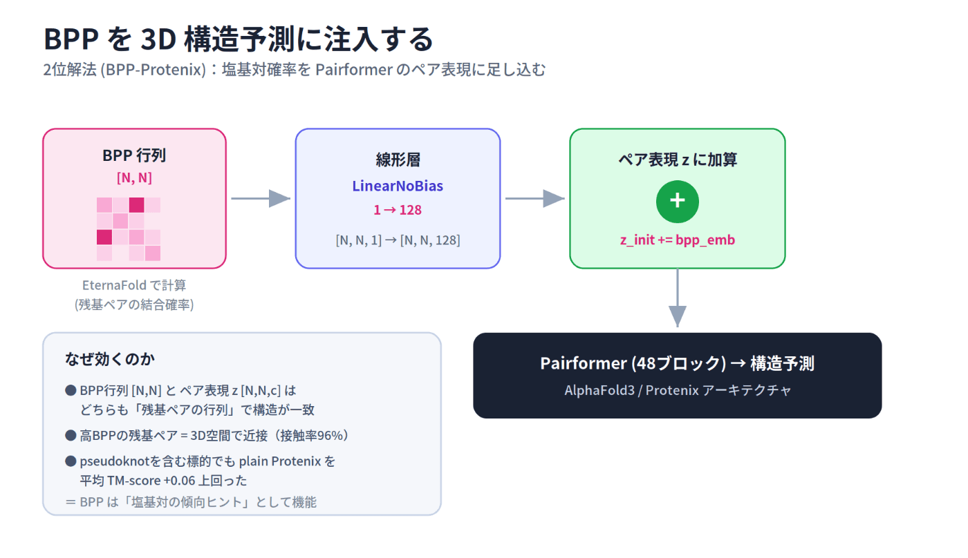 BPP行列を線形層で変換しPairformerのペア表現zに加算する、2位解法のデータフロー図